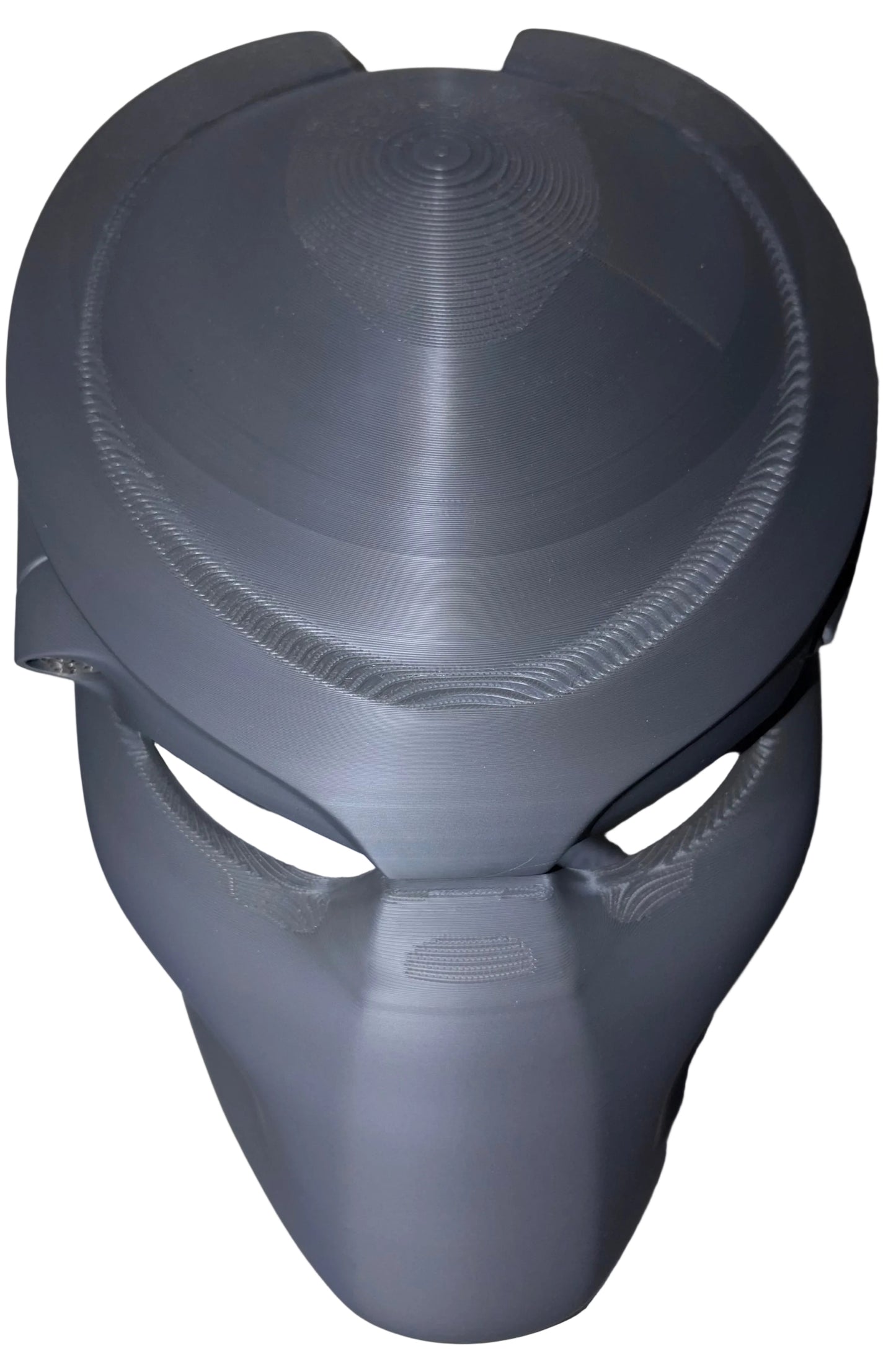 The Predator Mask