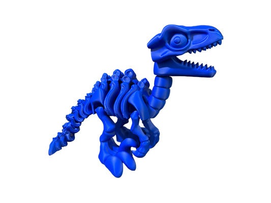 Flexi Skelet Raptor – 3D-Geprint Beweegbaar Model