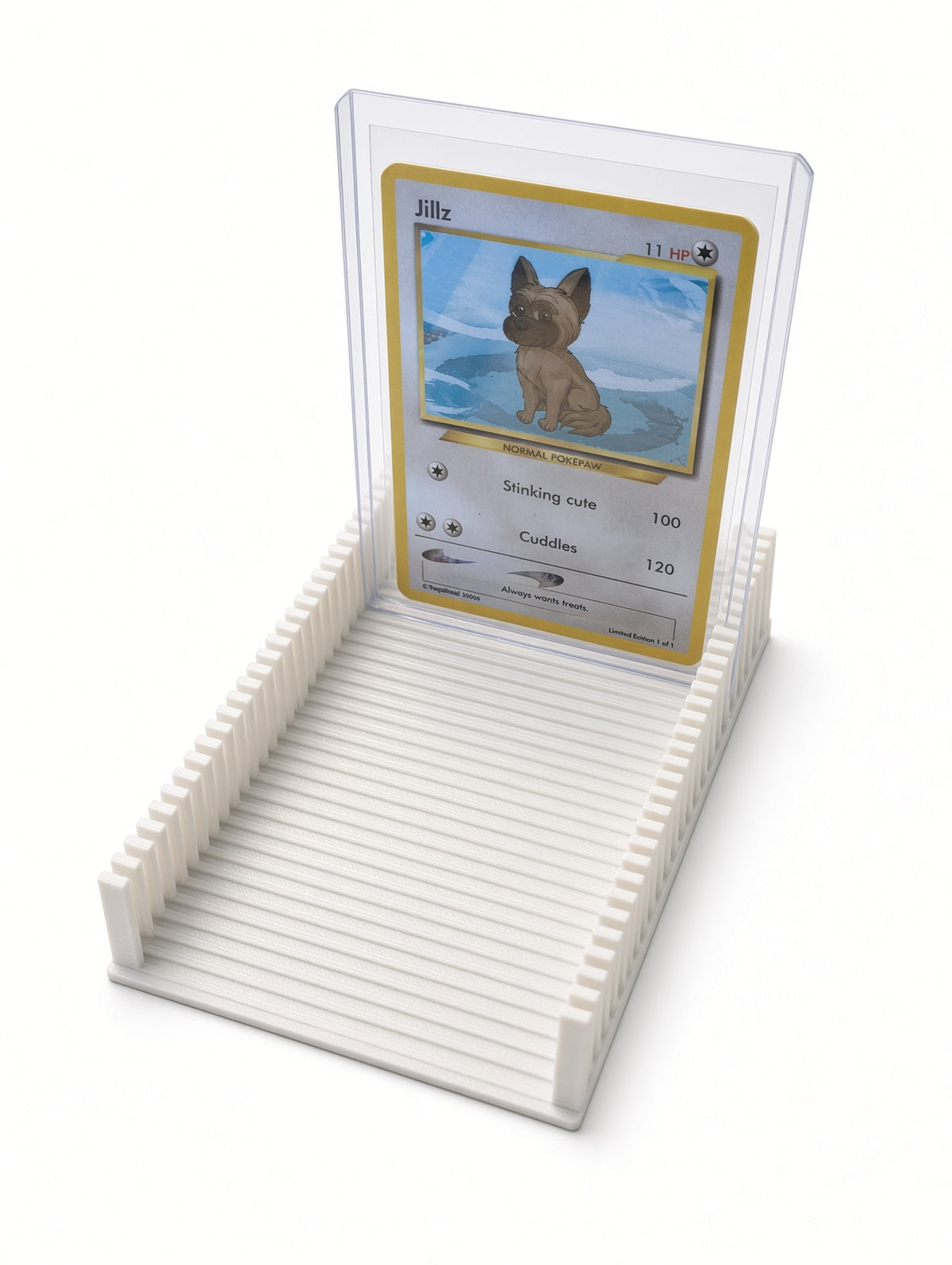 Toploader Inlay  – 3D-geprint model